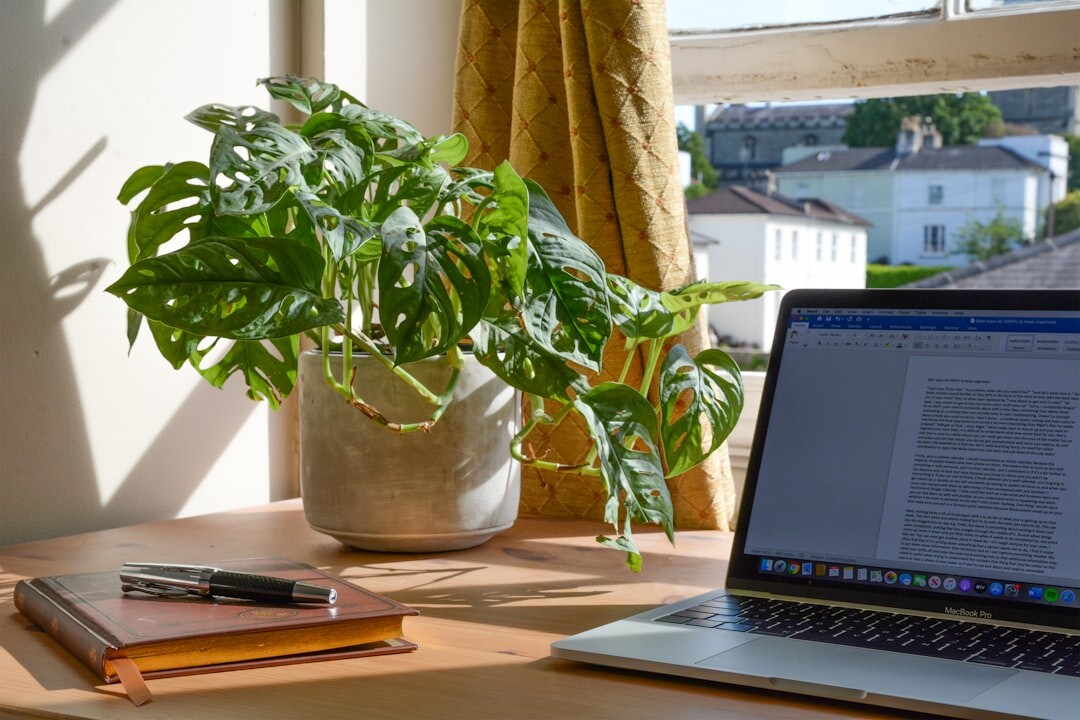 eco friendly office desk with plants