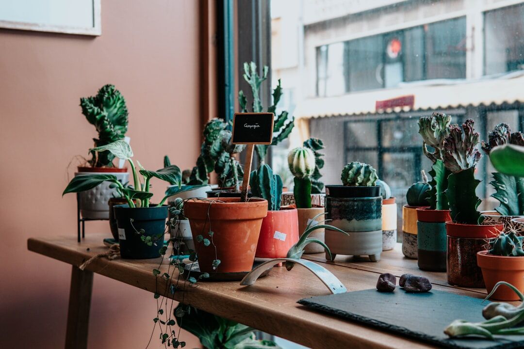eco friendly office desk with plants